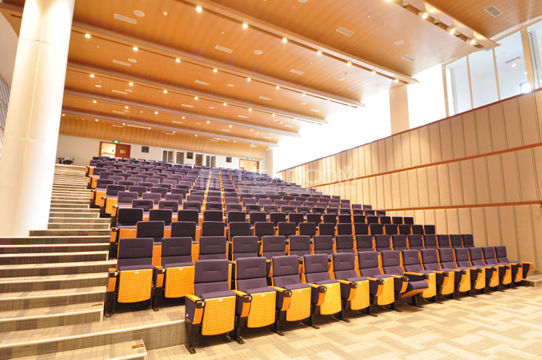 上海纽约大学